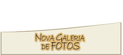 Nova Galeria de Fotos 2013/14